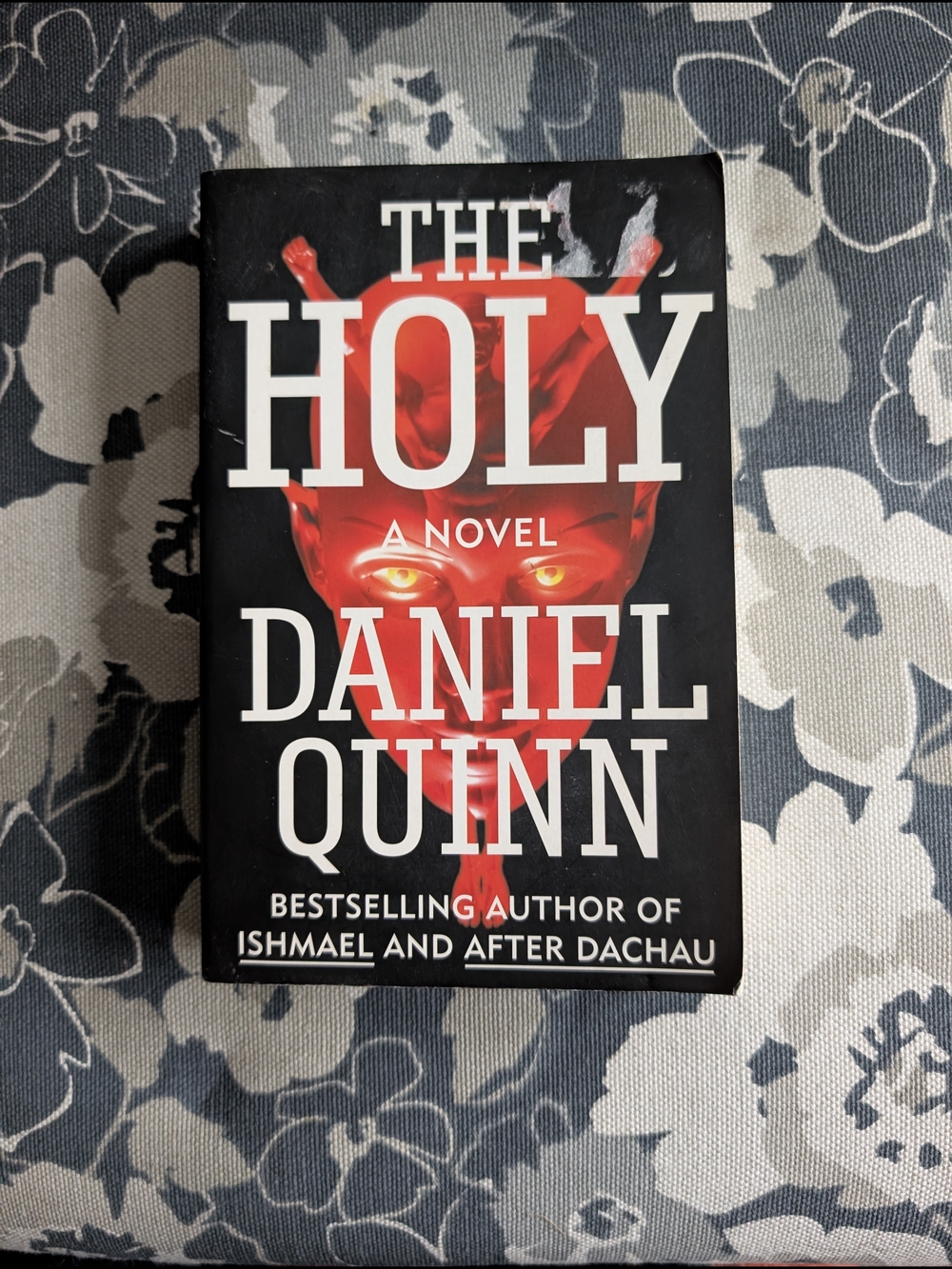 The Holy by Daniel Quinn - Novel